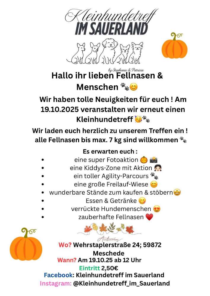 Hundetreffen-Kleinhundetreffen im Sauerland-Profilbild