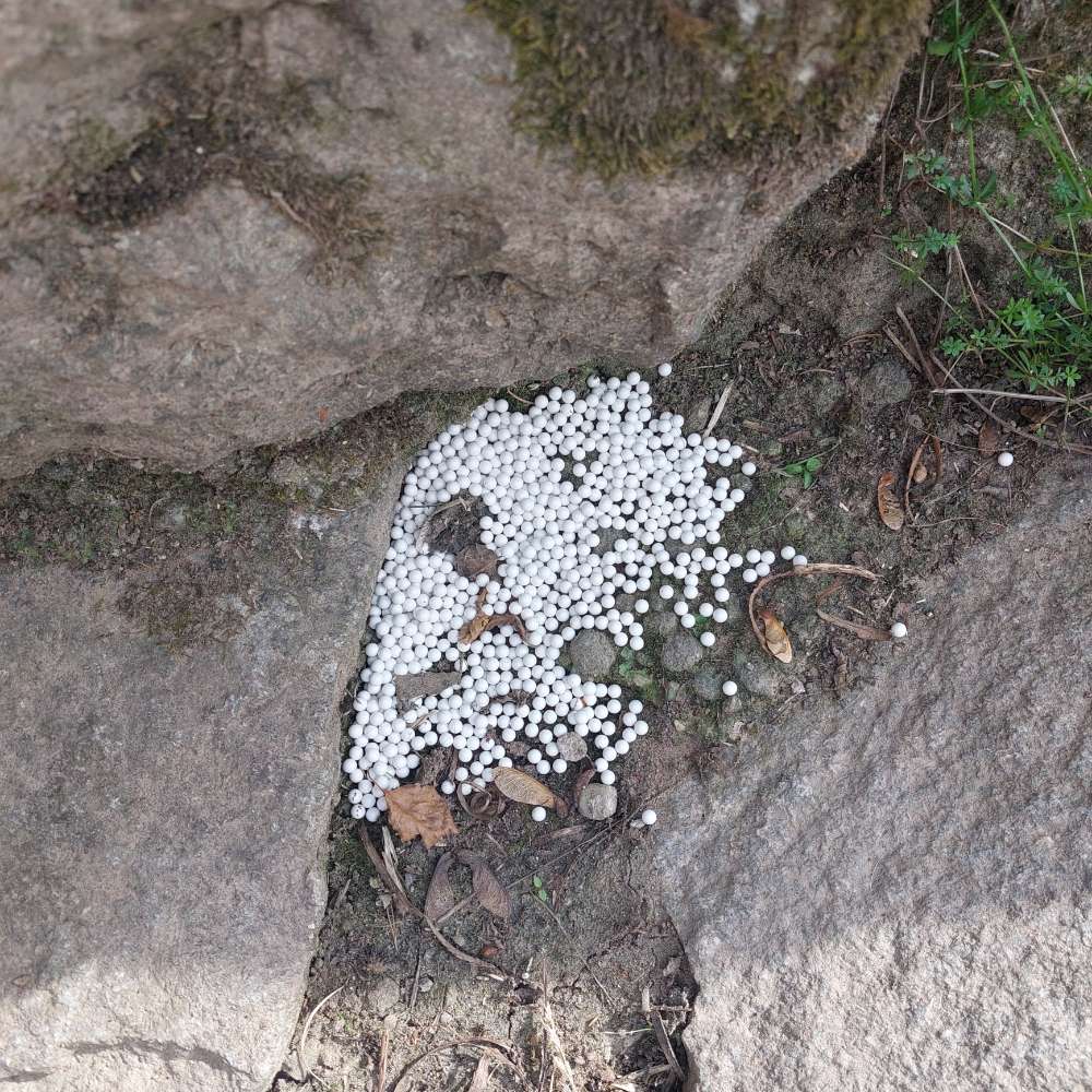 Giftköder-Weiße Kügelchen-Profilbild