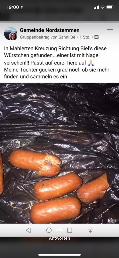 Giftköder-Giftköder-Profilbild