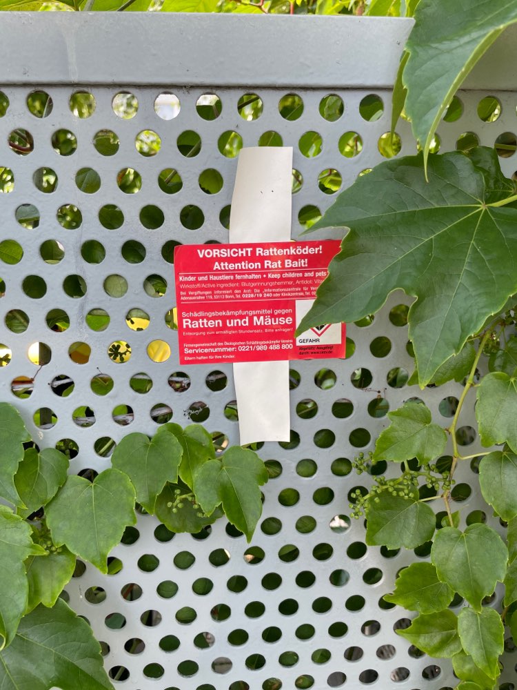 Giftköder-Rattengift-Profilbild