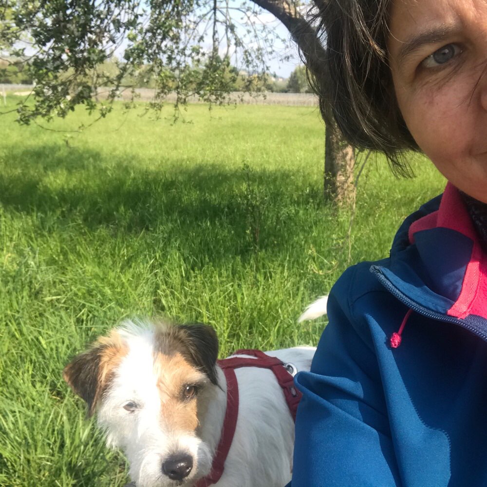 Hundetreffen-Gassirunden-Profilbild
