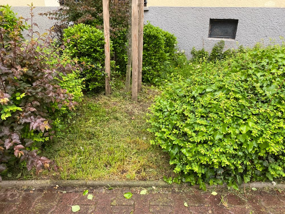 Giftköder-Giftköder im Gras vor dem Wohnhaus-Profilbild