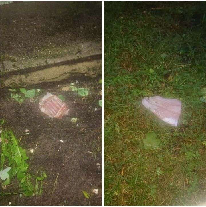 Giftköder-Giftköder-Profilbild