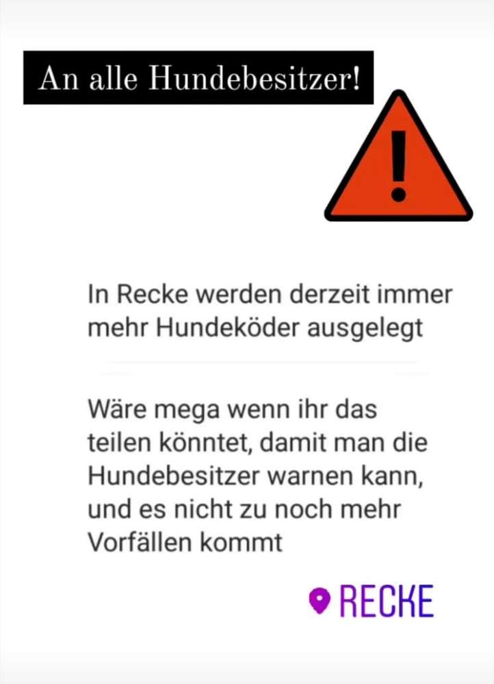 Giftköder-Giftköder-Profilbild