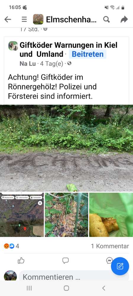 Giftköder-Giftköder, vergiftetes Trockenfutter-Profilbild