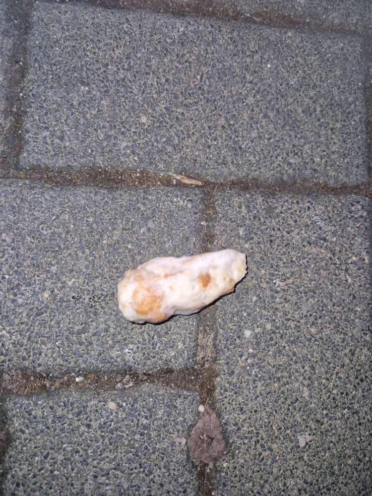 Giftköder-Möglicher Giftköder-Profilbild