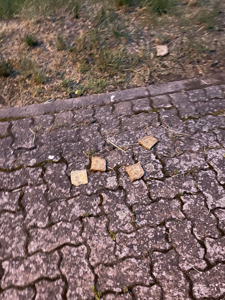 Giftköder-Brot & Käse Stücke-Profilbild