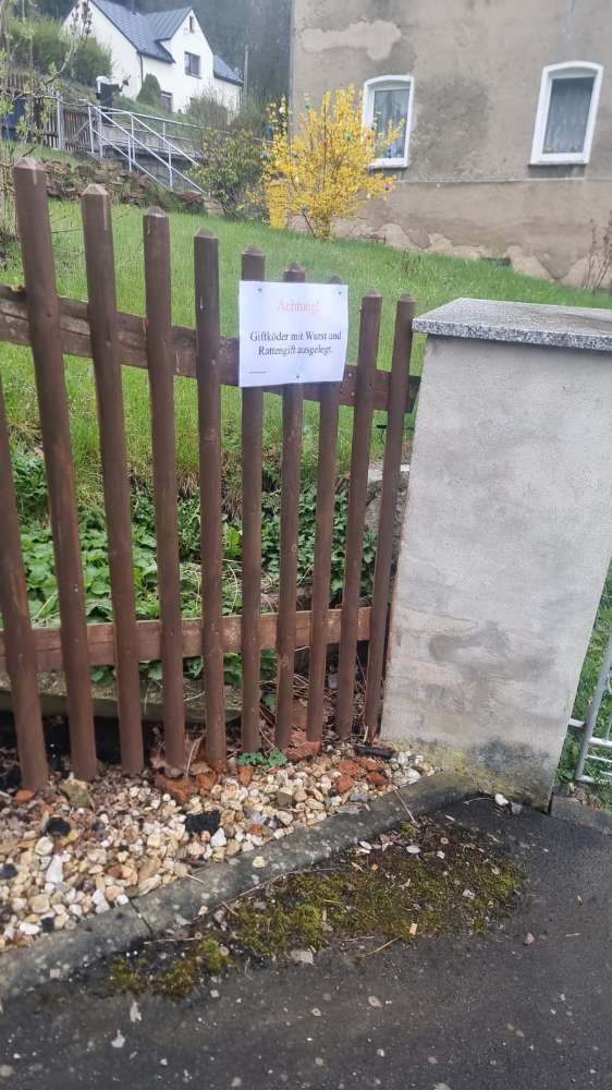 Giftköder-Giftköder mit Wurst und Rattengift-Profilbild