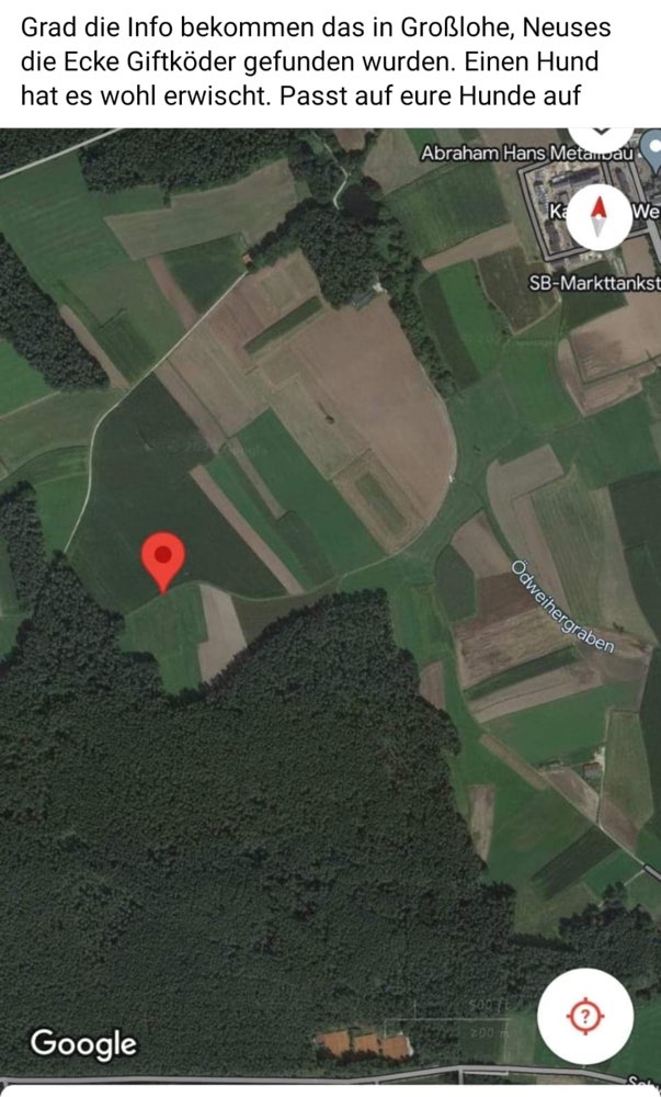 Giftköder-Giftköder-Profilbild