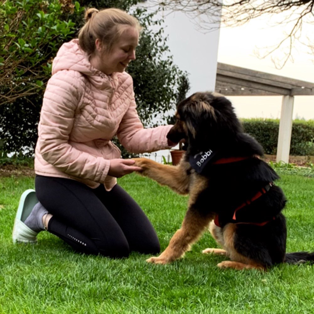 Hundetreffen-Social Walk, Übungsspaziergänge-Profilbild