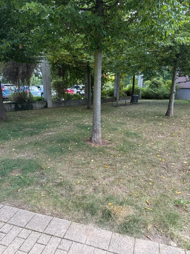 Giftköder-Mehrere Wienerstücke mit Einstichstellen-Profilbild