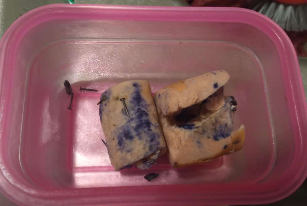 Giftköder-Giftköder inkl. Nägeln-Profilbild