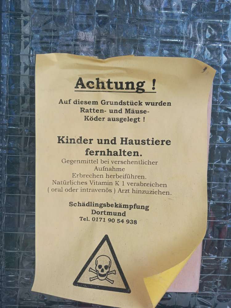 Giftköder-Ratten- und Mäuseköder-Profilbild