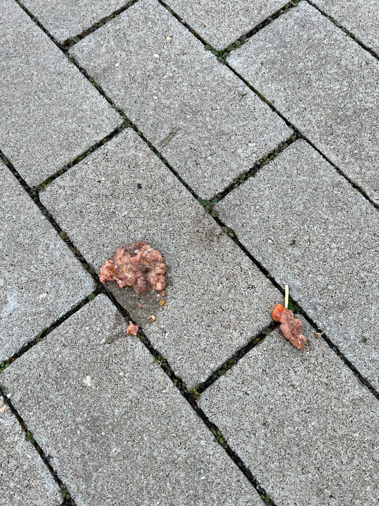 Giftköder-Giftköder-Profilbild