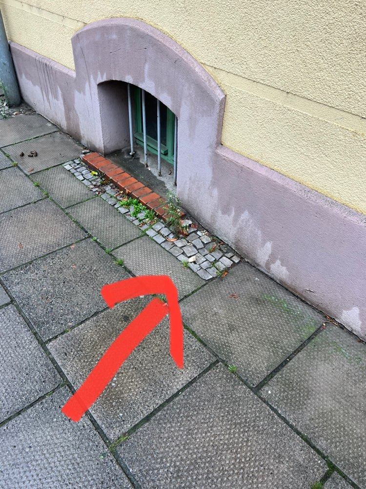 Giftköder-Reiskuchen mit Trockenfutter!-Profilbild