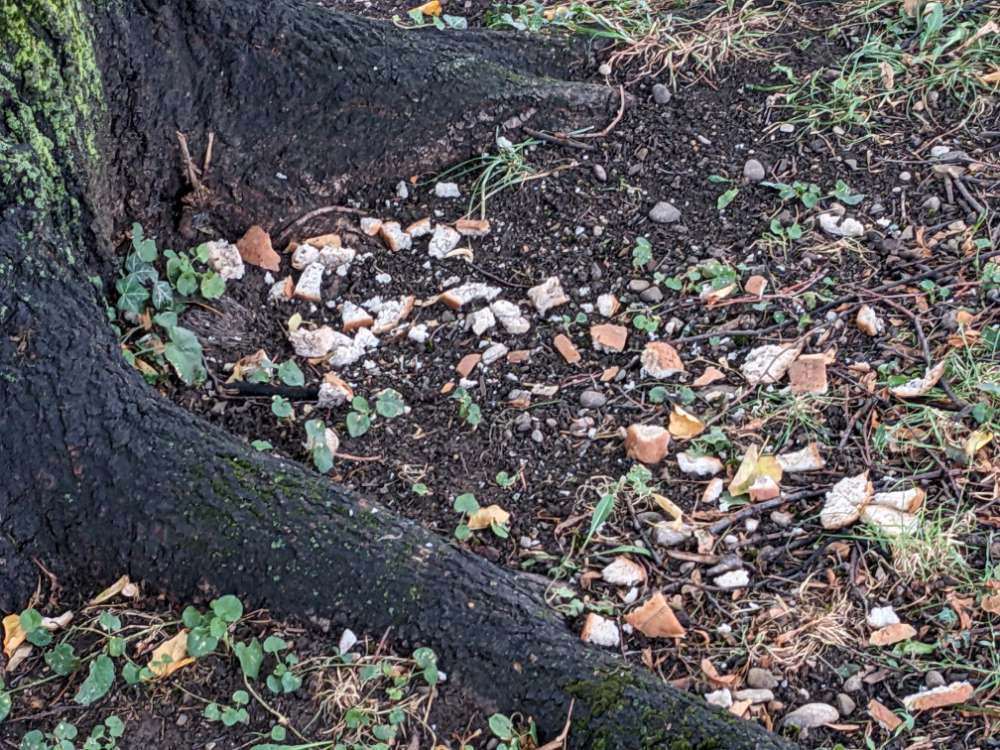 Giftköder-Weißes Brot an der Baumrückseite-Profilbild