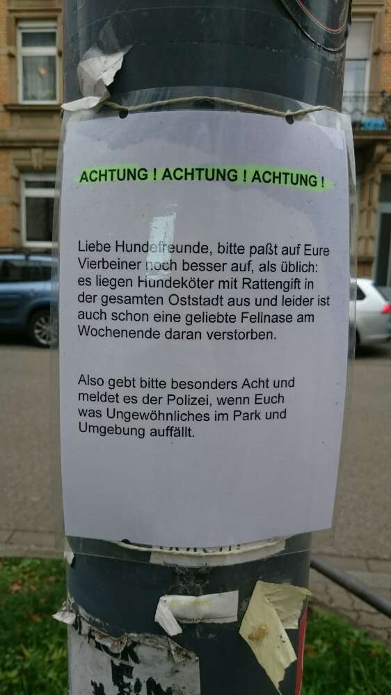 Giftköder-Giftköder-Profilbild