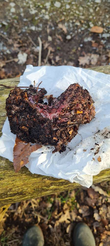 Giftköder-Giftköder Am Sondert-Profilbild