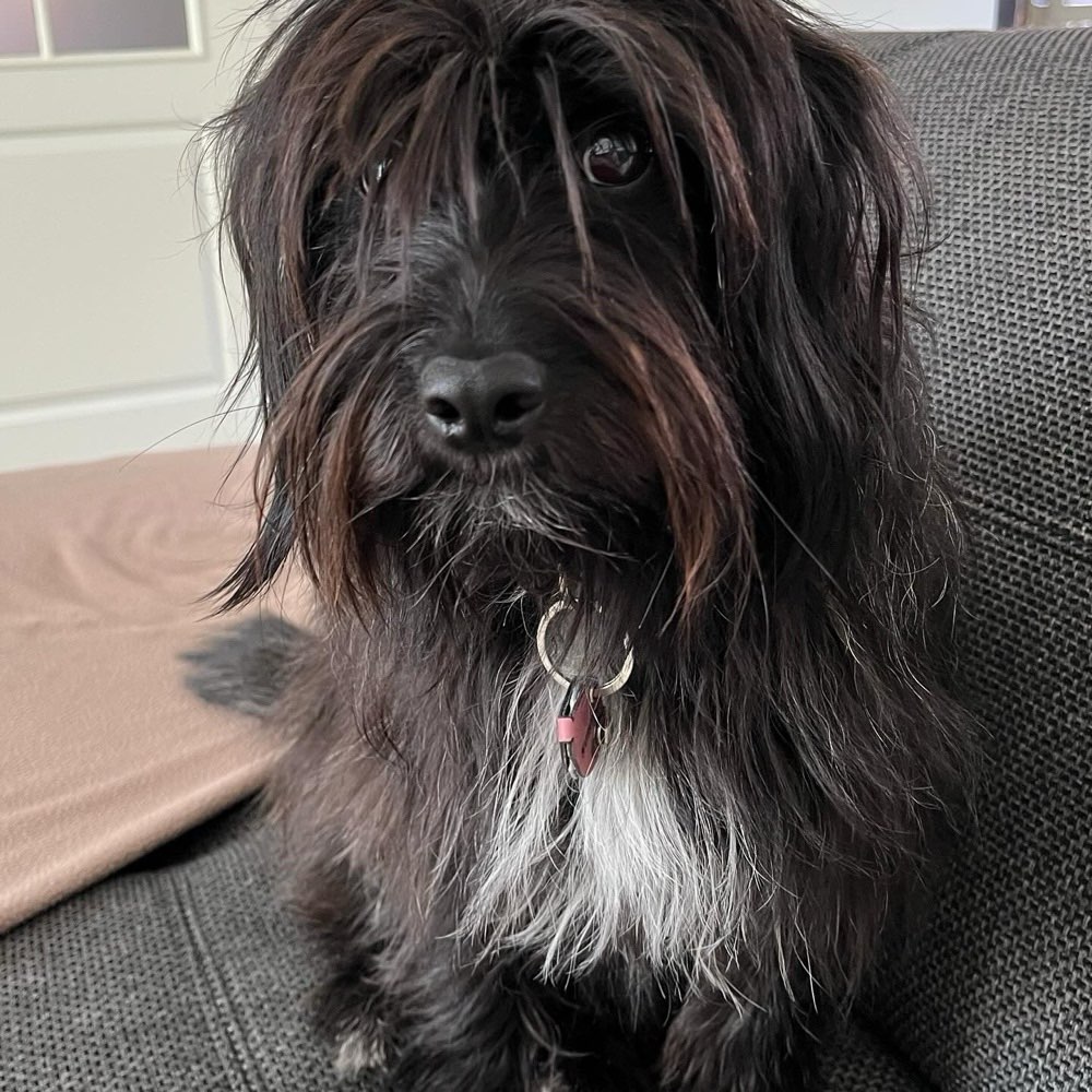 Suchmeldung-Sunny-Profilbild