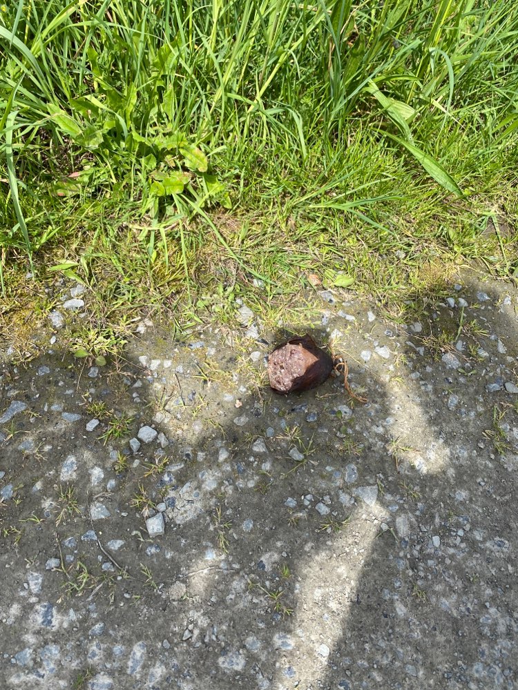 Giftköder-Großes Stück Mettwurst-Profilbild