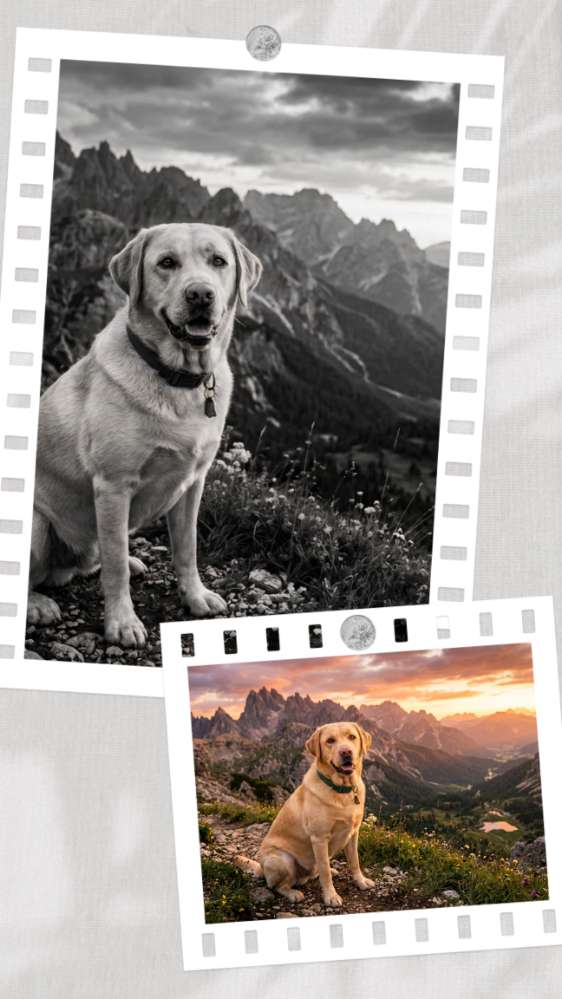 25. KI Wettbewerb "Das selbe Bild in Farbe und Schwarz-Weiß Banner