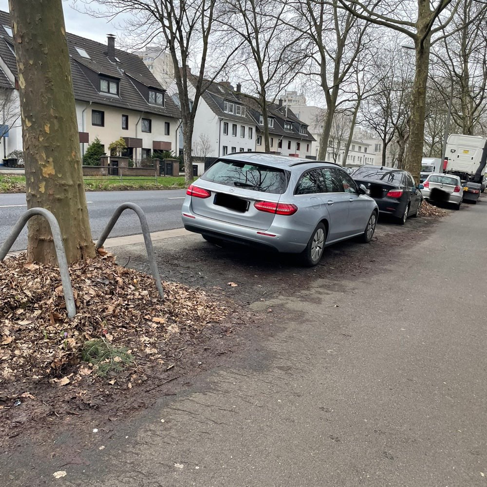 Giftköder-Tote Ratte am Baum-Profilbild