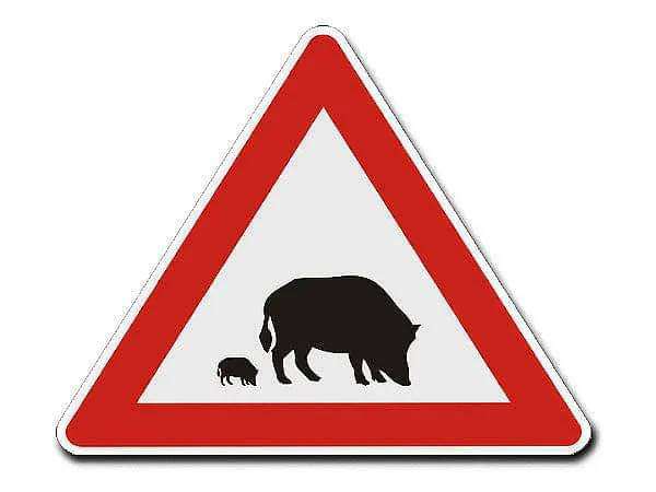 Giftköder-Nachwuchs bei den Wildtieren-Profilbild