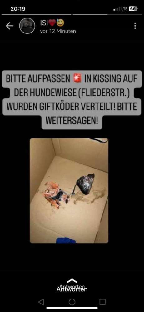 Giftköder-Giftköder-Profilbild