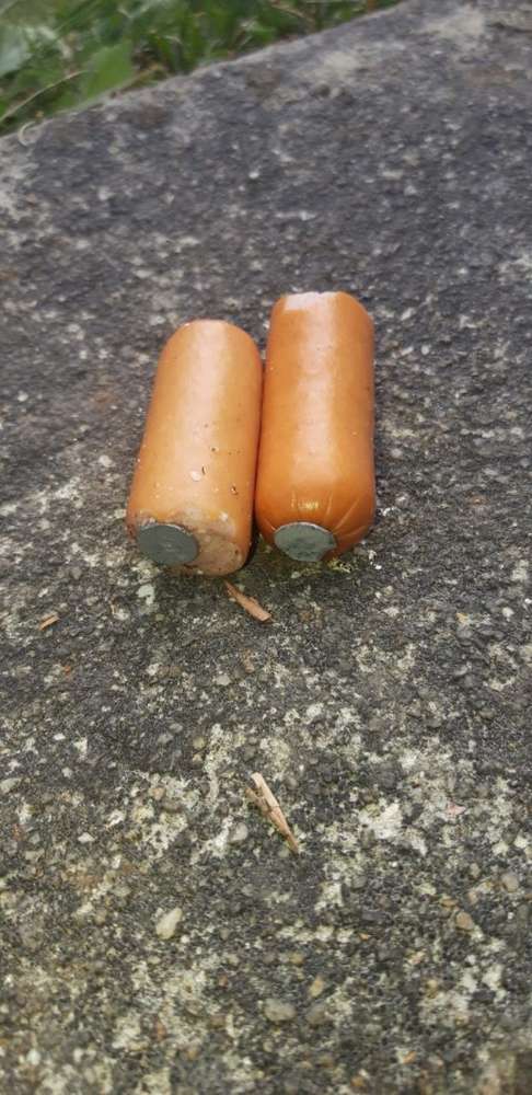 Giftköder-Giftköder-Profilbild