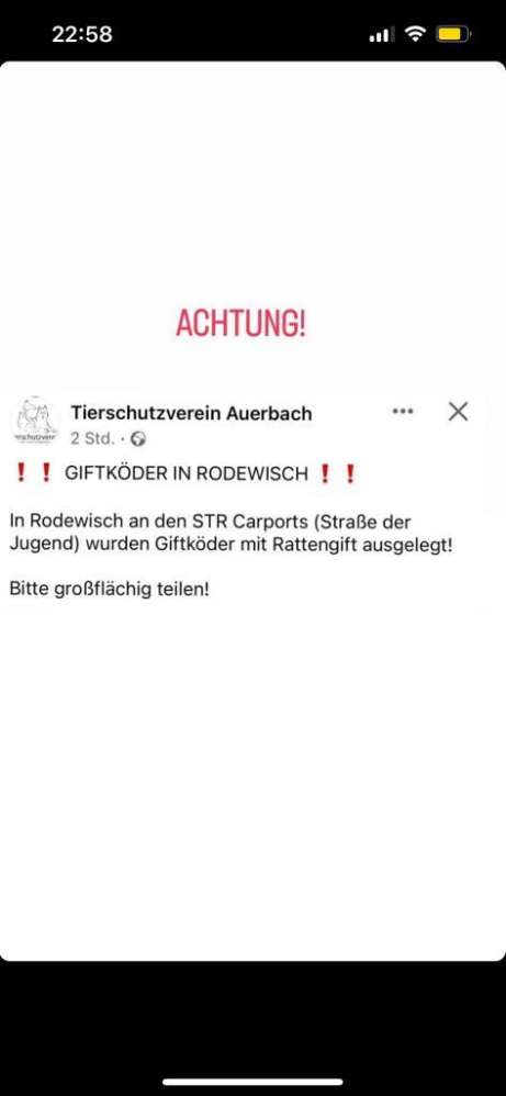 Giftköder-Giftköder-Profilbild