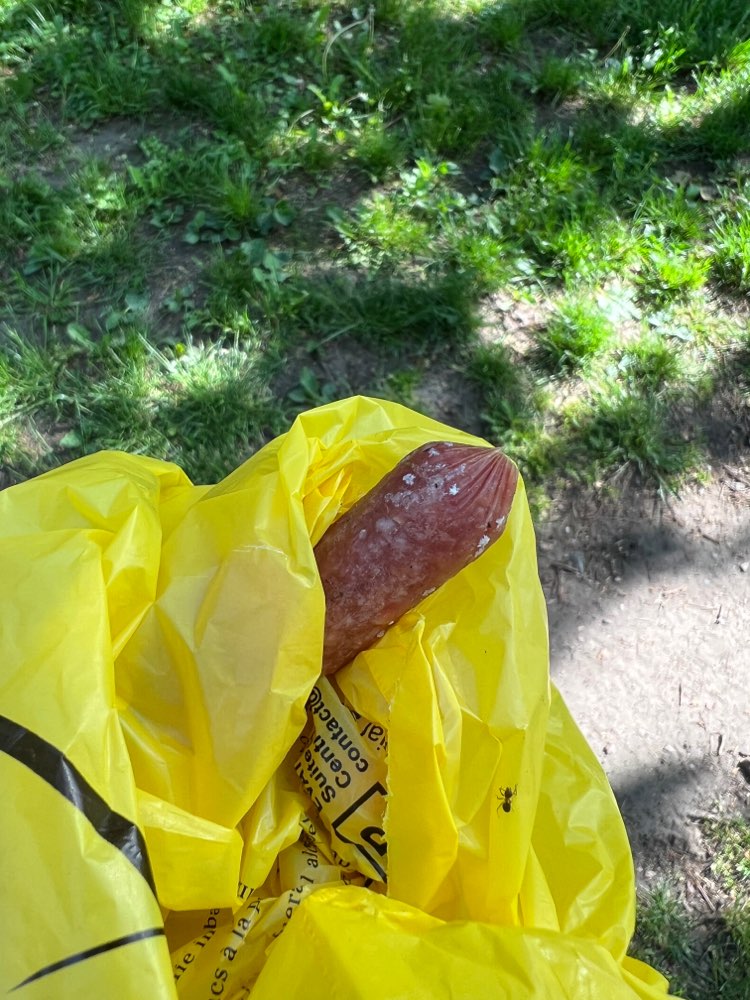 Giftköder-Giftköder?/Poison bait? (Kleine Würste)-Profilbild