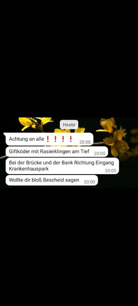 Giftköder-Giftköder mit Rasierklingen-Profilbild