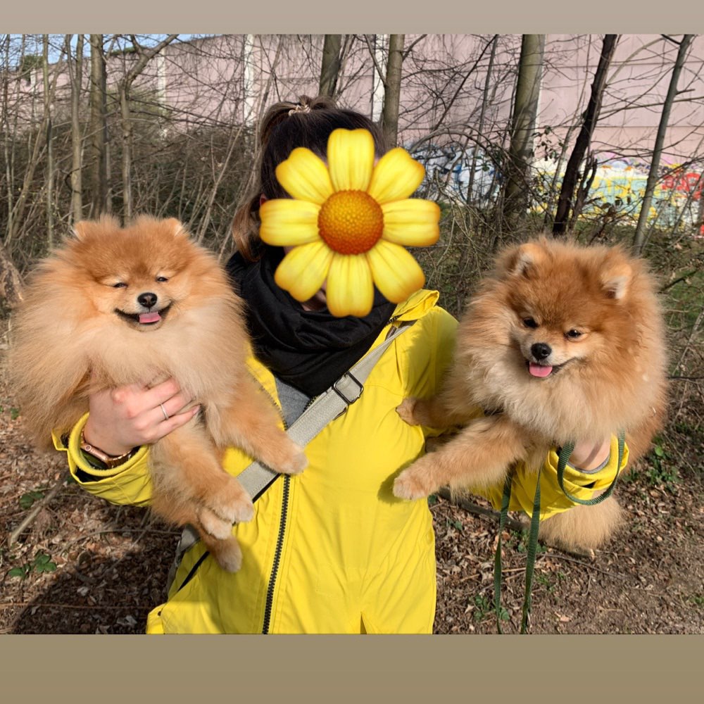 Hundetreffen-Kleinhunde/Welpen Treff-Profilbild