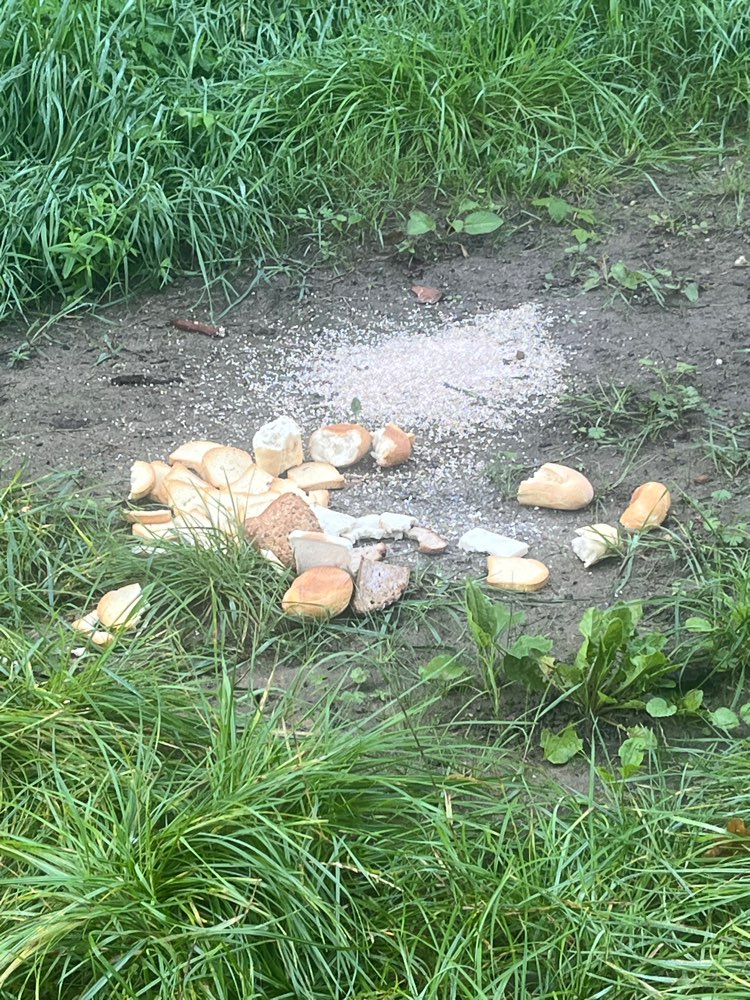 Giftköder-Essensreste-Profilbild