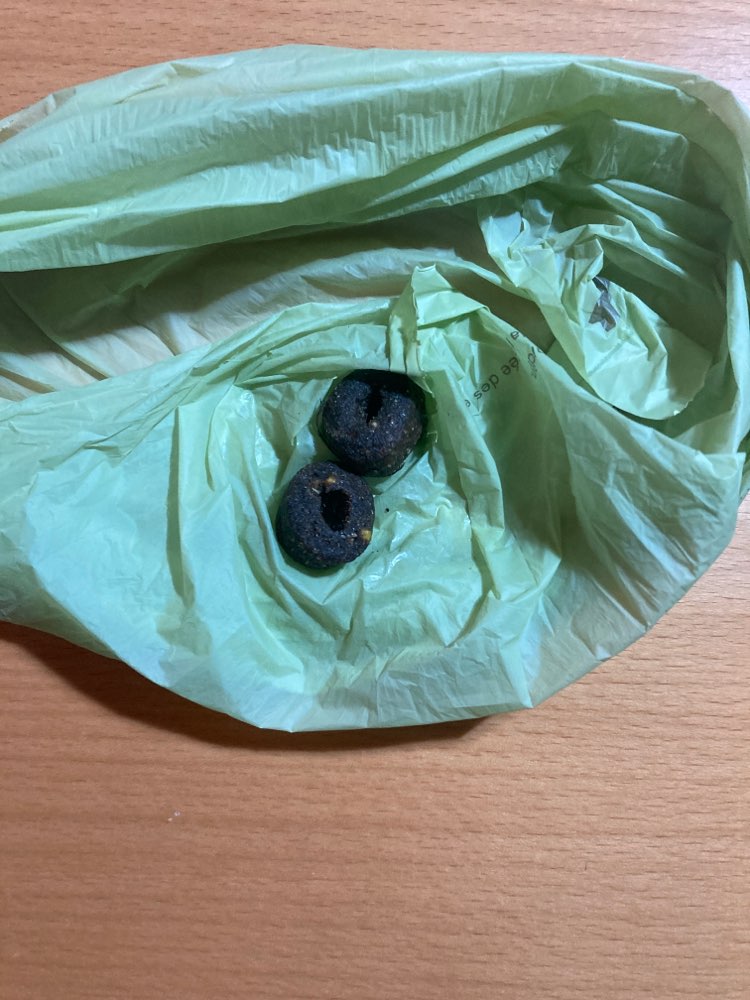 Giftköder-Futter ausgelegt-Profilbild