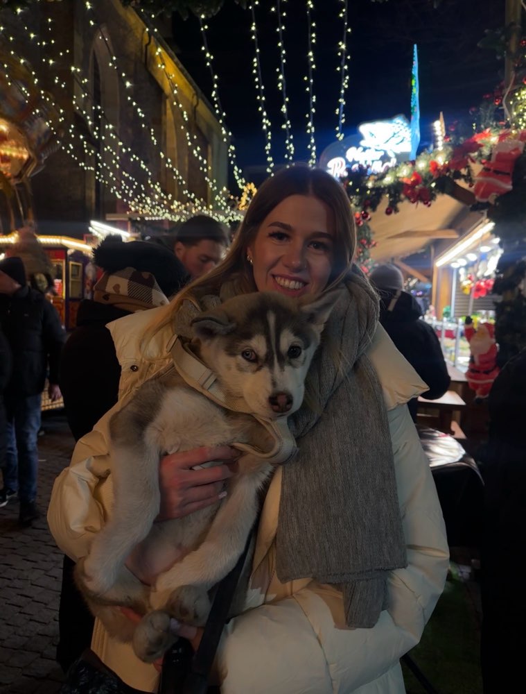 Hundetreffen-Spielrunde-Profilbild