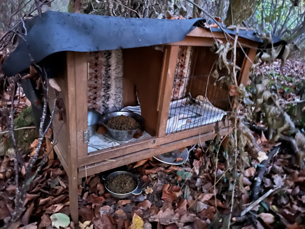 Giftköder-Möglicher Giftköder-Profilbild