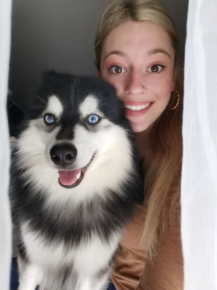 Hundetreffen-Spielestunde und Abruftraining Junghunde-Profilbild