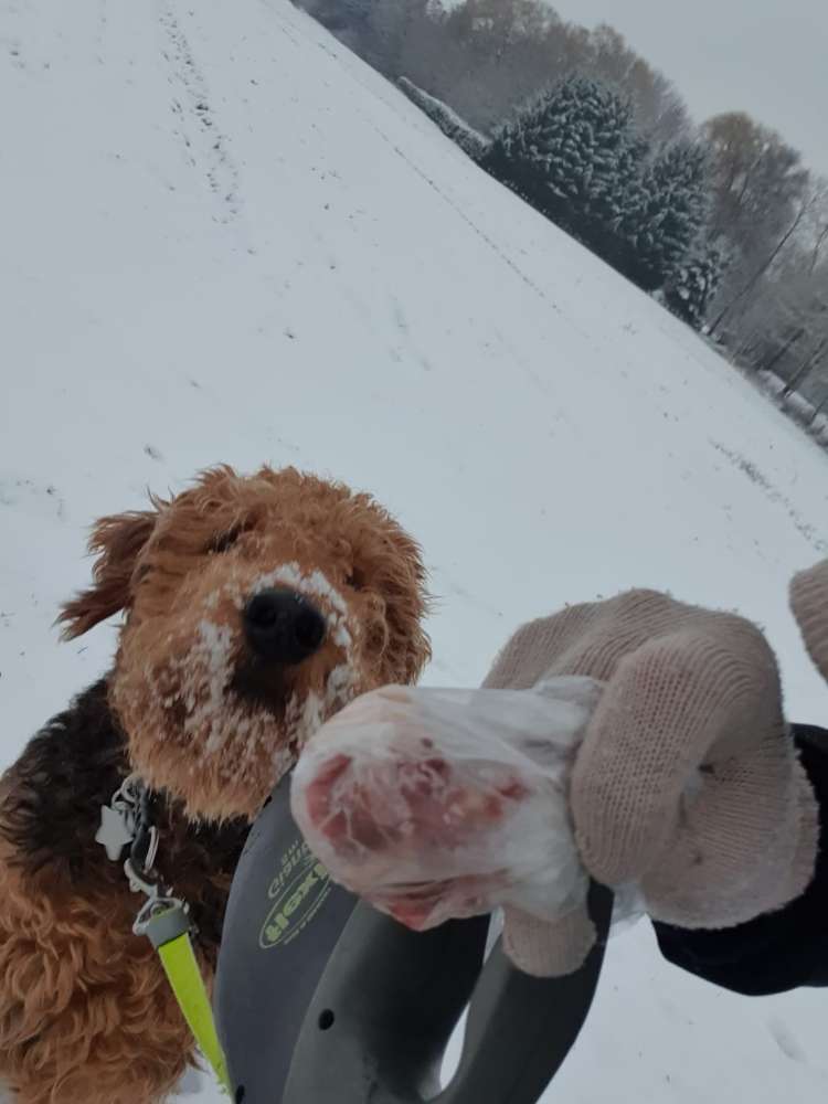 Giftköder-wieder Giftköder in Fleischtüten!!!-Profilbild