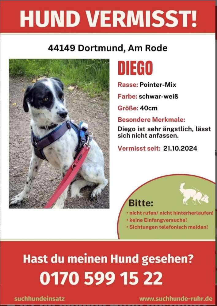 Suchmeldung-Diego-Profilbild