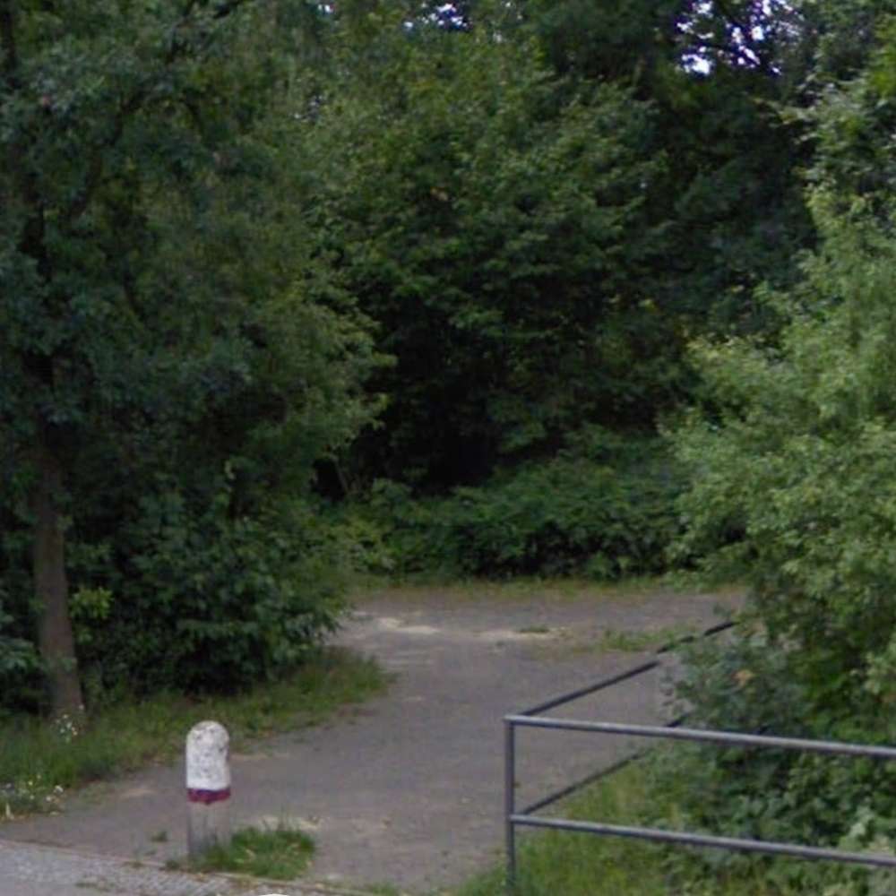 Hundetreffen-Welpentreffen Jonny K.-Aktivpark-Profilbild