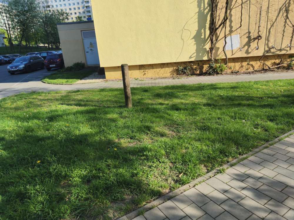 Giftköder-Giftköder-Profilbild