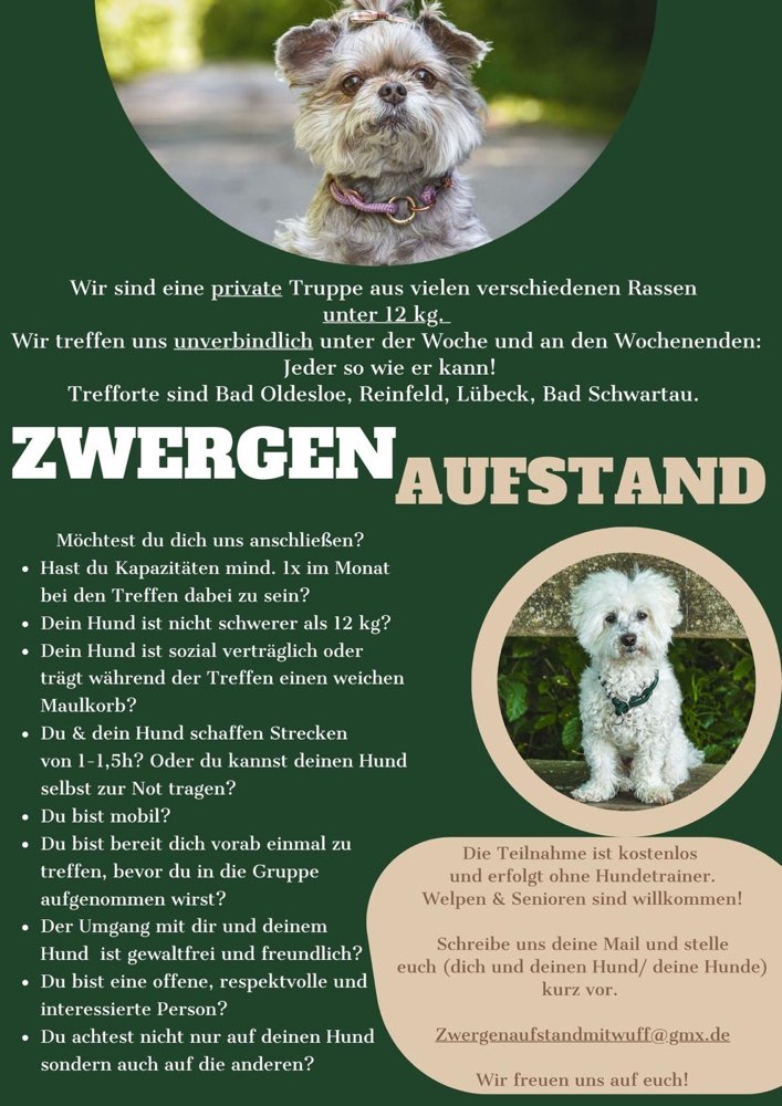 Hundetreffen-Treffen für kleine Hunde unter 12kg-Profilbild