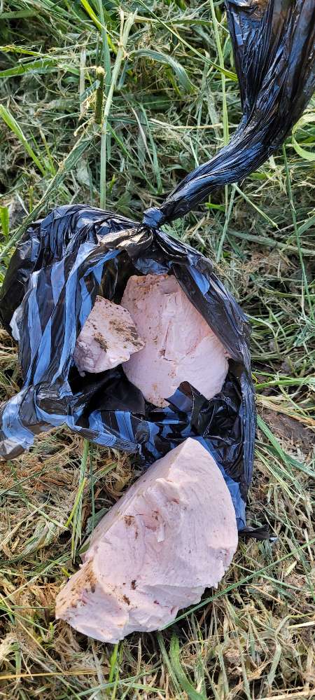 Giftköder-Giftköder-Profilbild