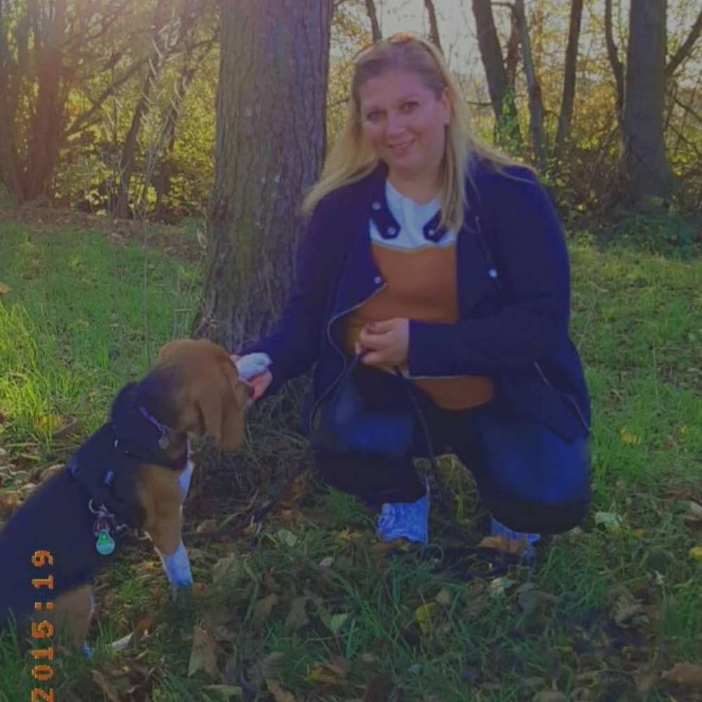 Hundetreffen-Beagle treffen Wendlingen-Profilbild