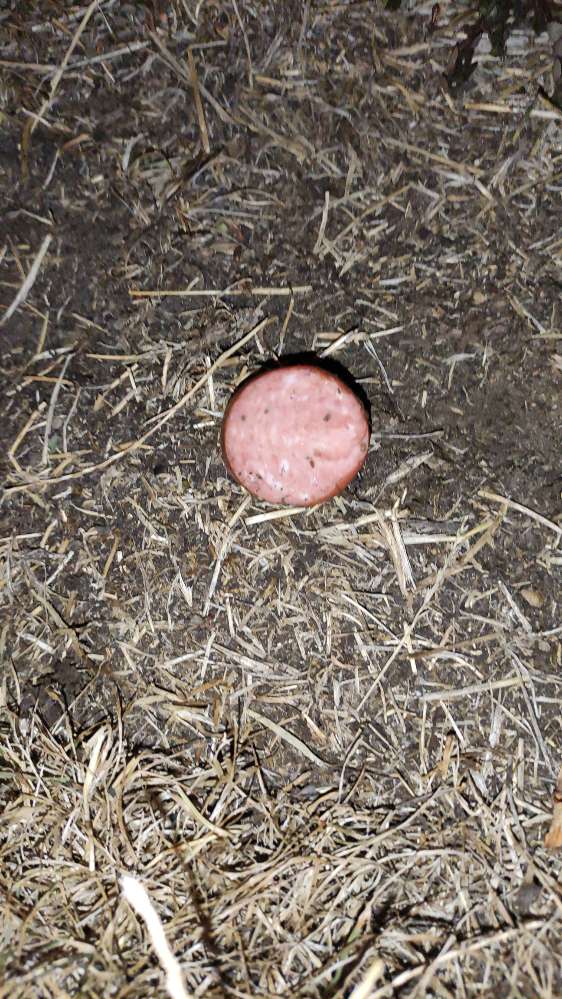 Giftköder-giftköder-Profilbild