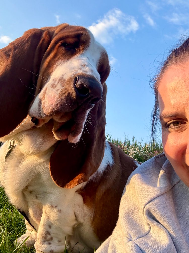 Hundetreffen-Spielrunde in Delmenhorst-Profilbild