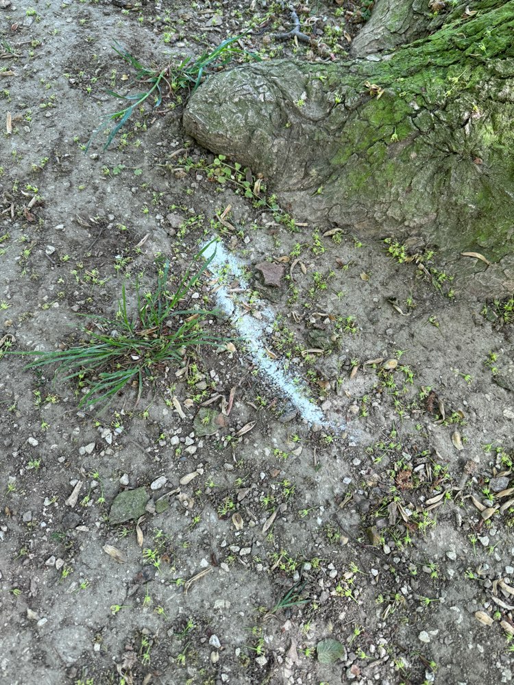 Giftköder-Weißes Pulver im Schloßpark-Profilbild