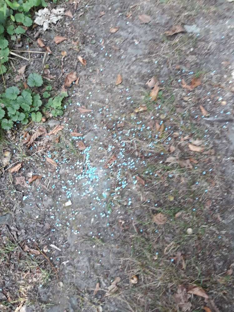 Giftköder-Gift, Blaukorn, Schneckenkorn-Profilbild