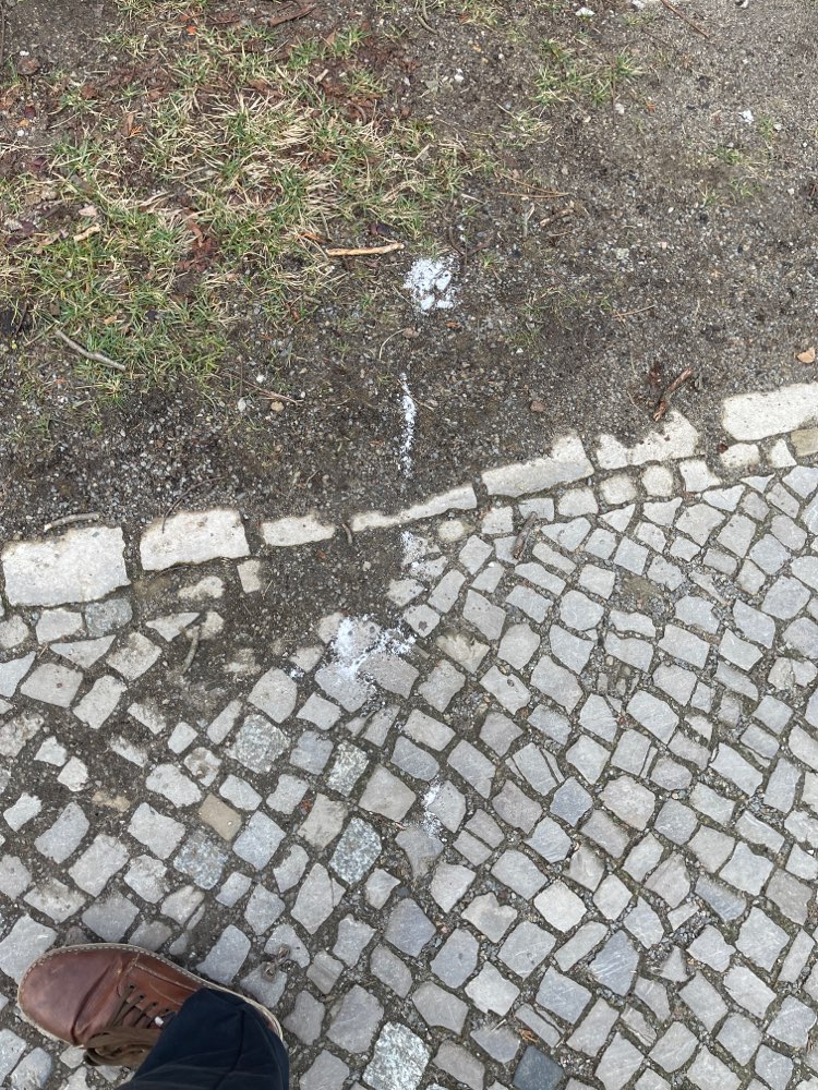 Giftköder-Weißes Pulver-Profilbild